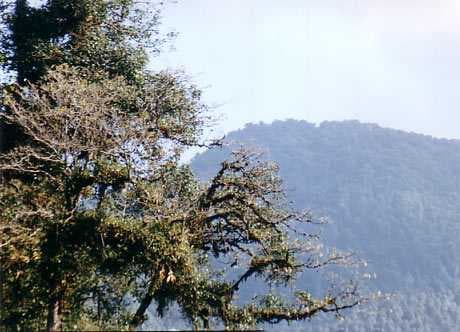 Tendong Hill travel image