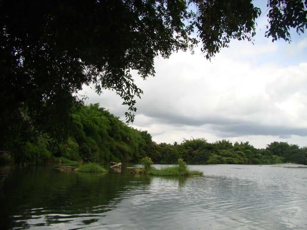 Ranganthittu Bird Santuary
