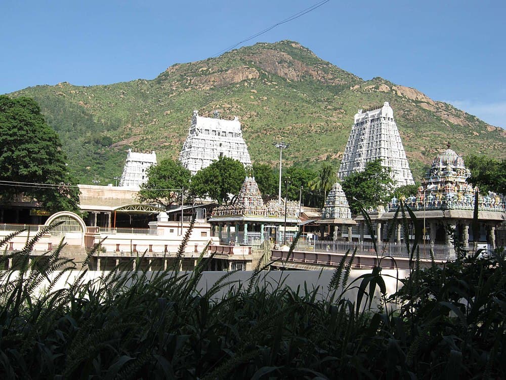 Annamalaiyar Temple travel image