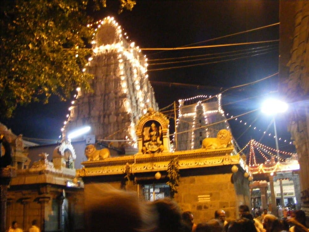 Annamalaiyar Temple travel image