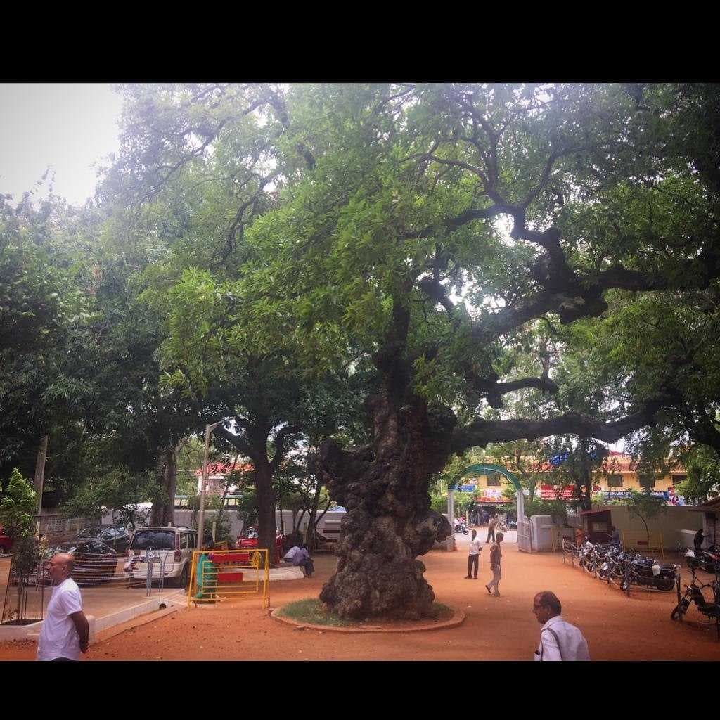 Ramanasaramam Compound.