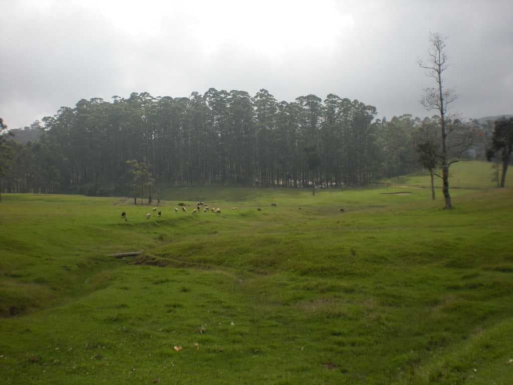 Ambasamudram