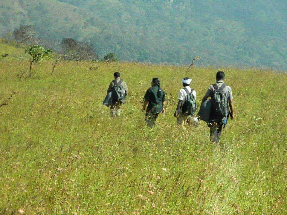 Guided Trekking at Neyyar Wildlife Sanctuary