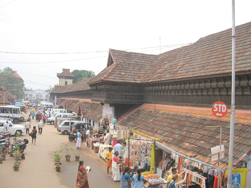 Padmanabhaswamy Temple travel image