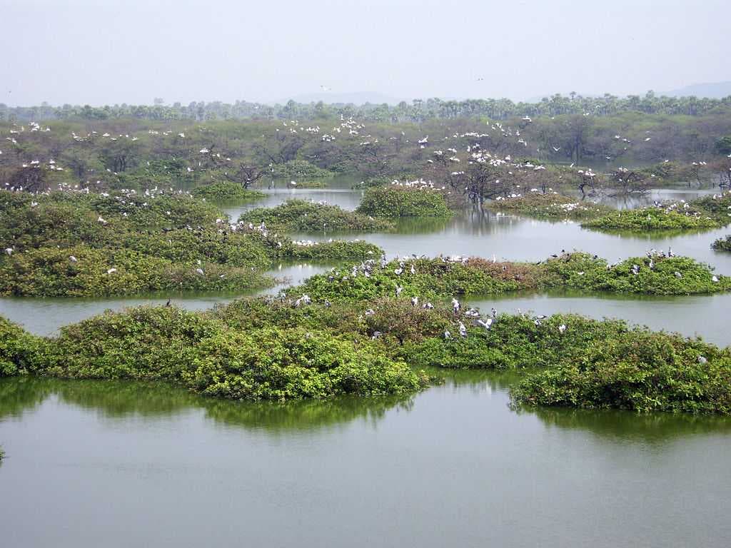 Vedanthangal