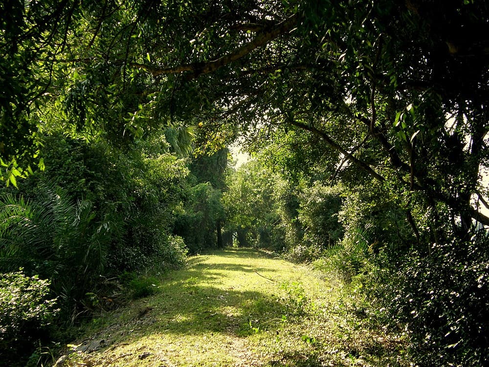 Vedanthangal Bird sanctuary travel image