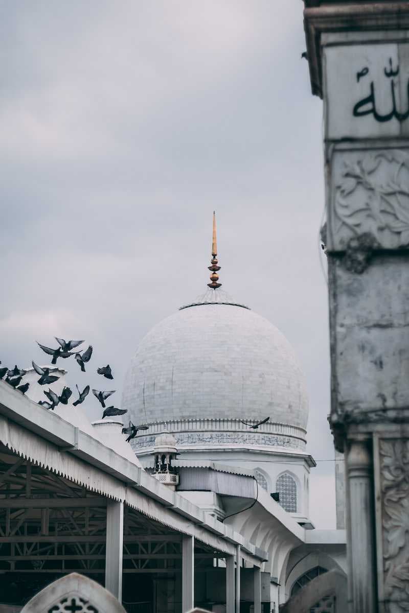 Hazratbal Shrine view