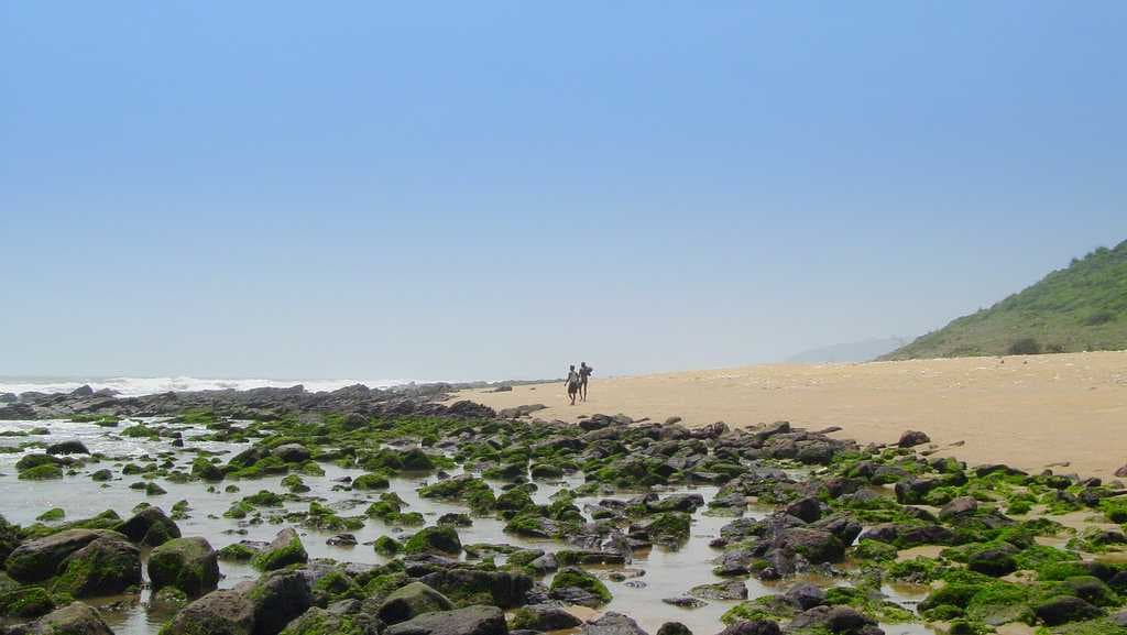 Rushikonda Beach travel image