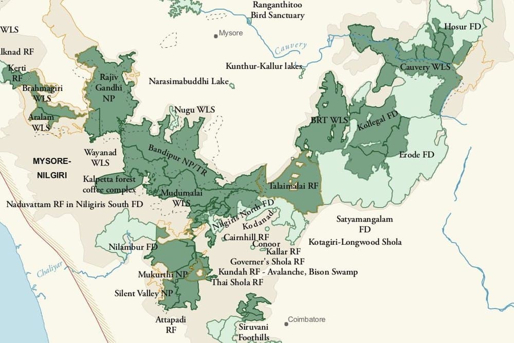 Wayanad Wildlife Sanctuary travel image