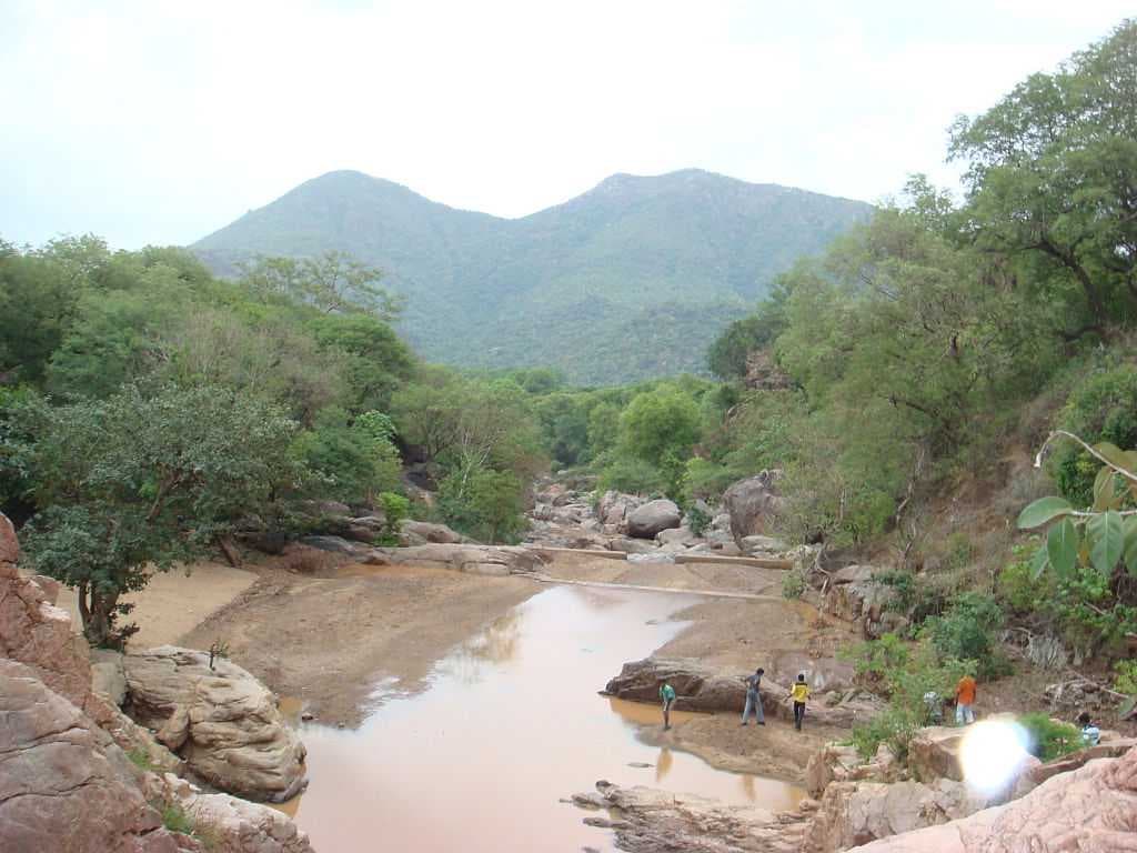 Amirthi Zoological Waterfalls travel image