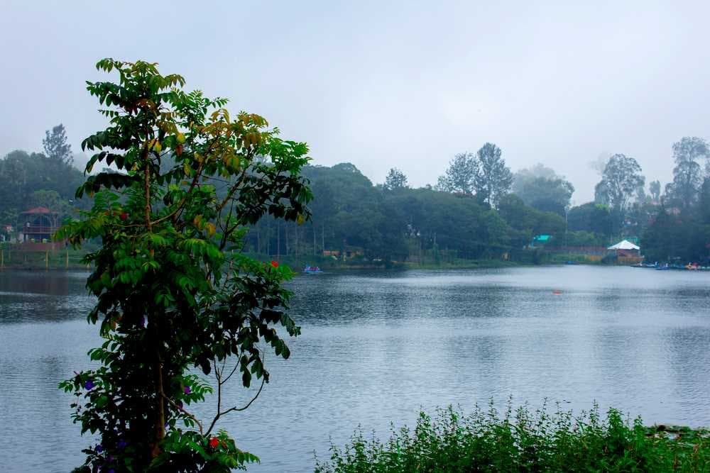 Emerald Lake (Yercaud Lake) - Misty Morning View