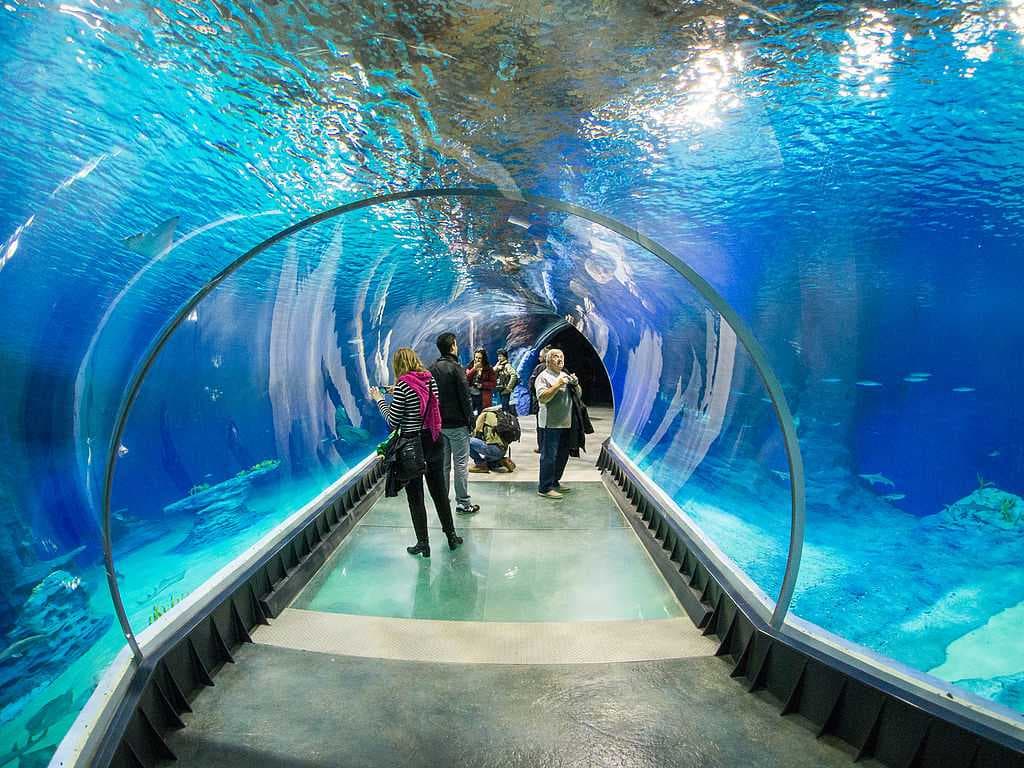 Bali Safari & Marine Park travel image