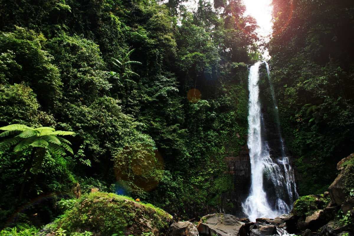 Gitgit Waterfall travel image