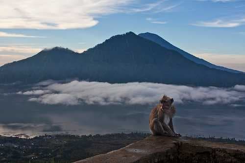 Mount Agung travel image