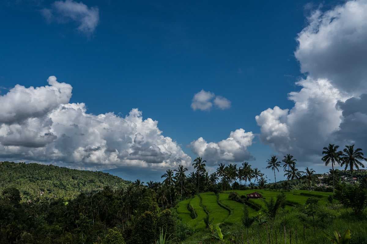 Munduk Bali