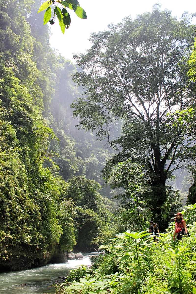 Sekumpul Waterfalls travel image
