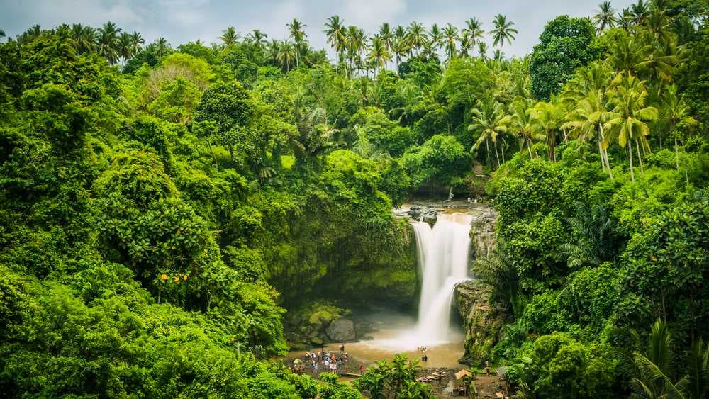 Tegenungan Waterfall Surrounded with Lush Greenery