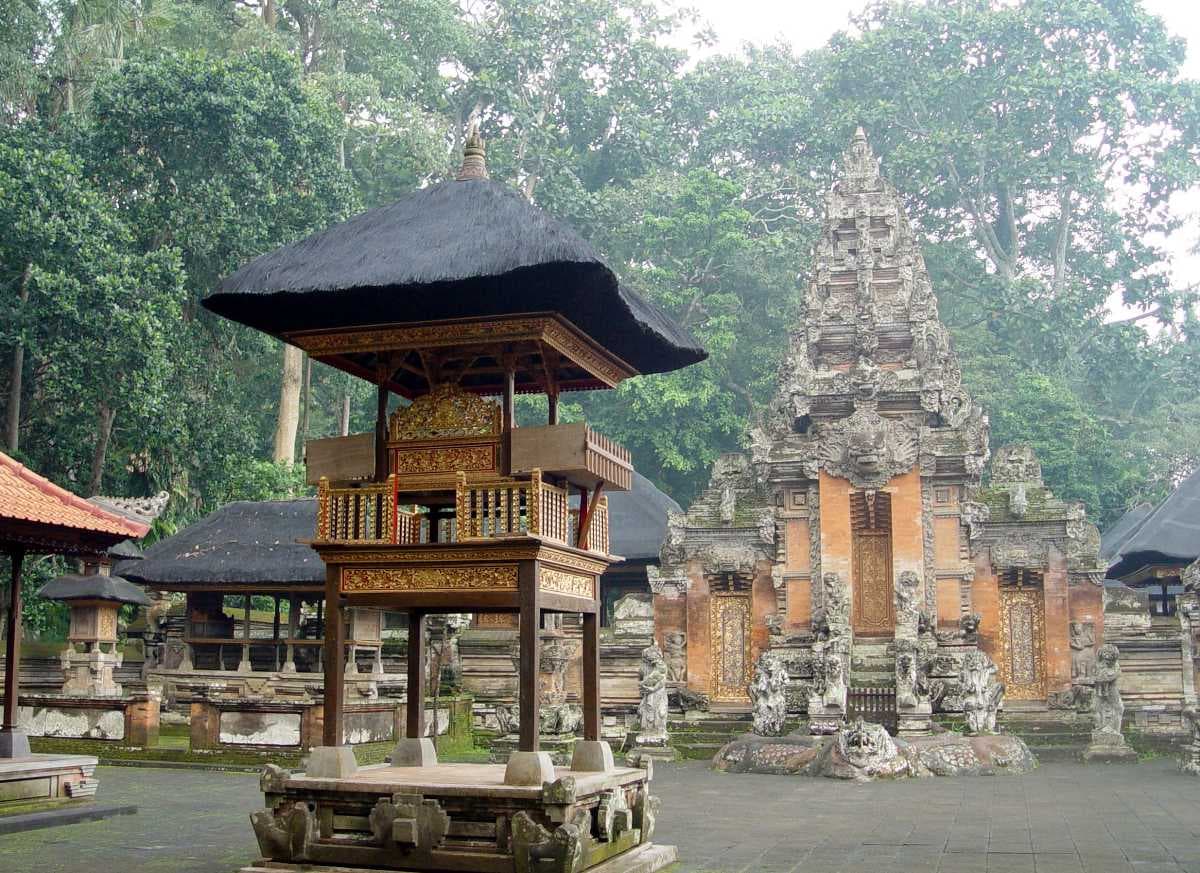Ubud Monkey Forest travel image
