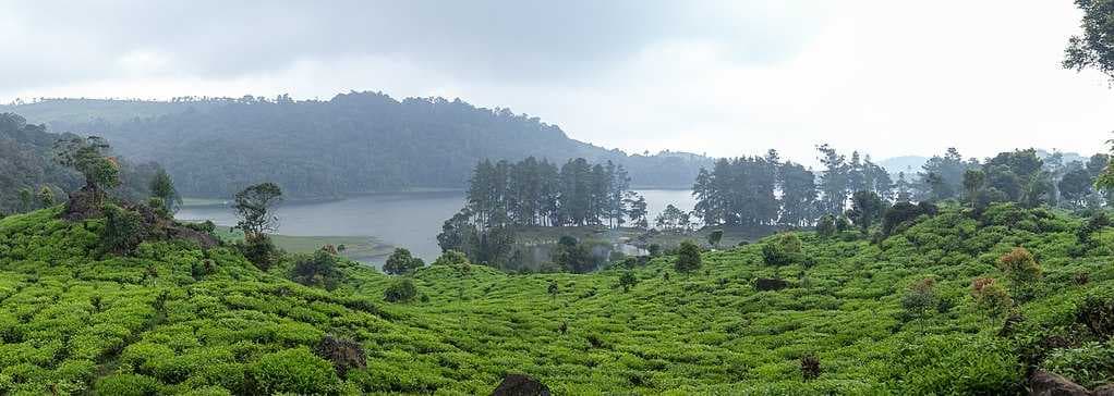 Situ Patenggang Lake travel image