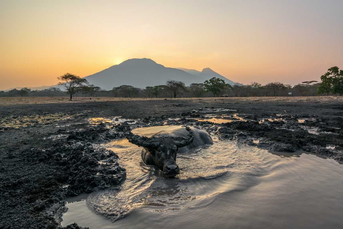 Baluran National Park