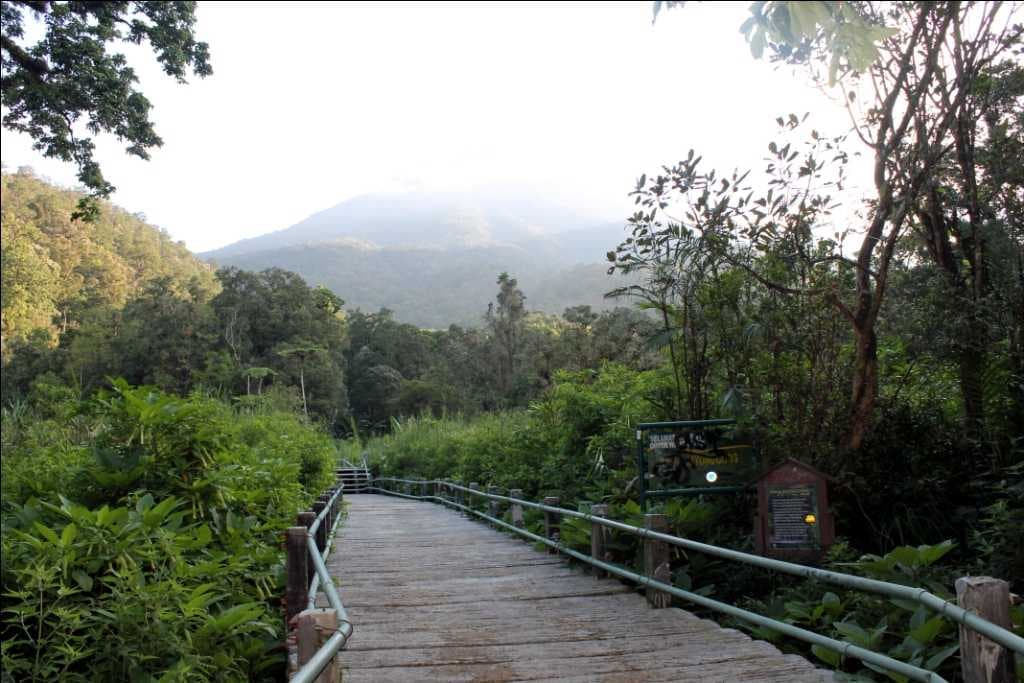 Gunung Gede Pangrango National Park