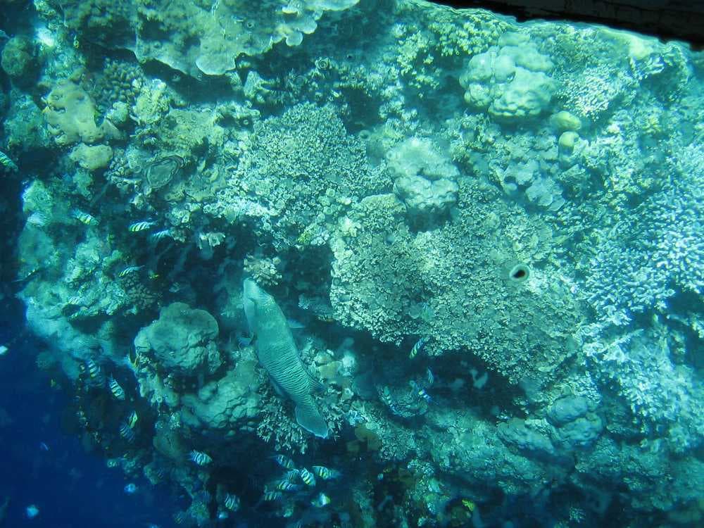 Bunaken Island travel image