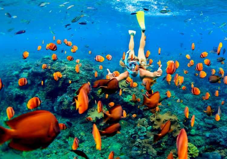 Snorkelling at Mushroom Bay, Nusa Lembongan