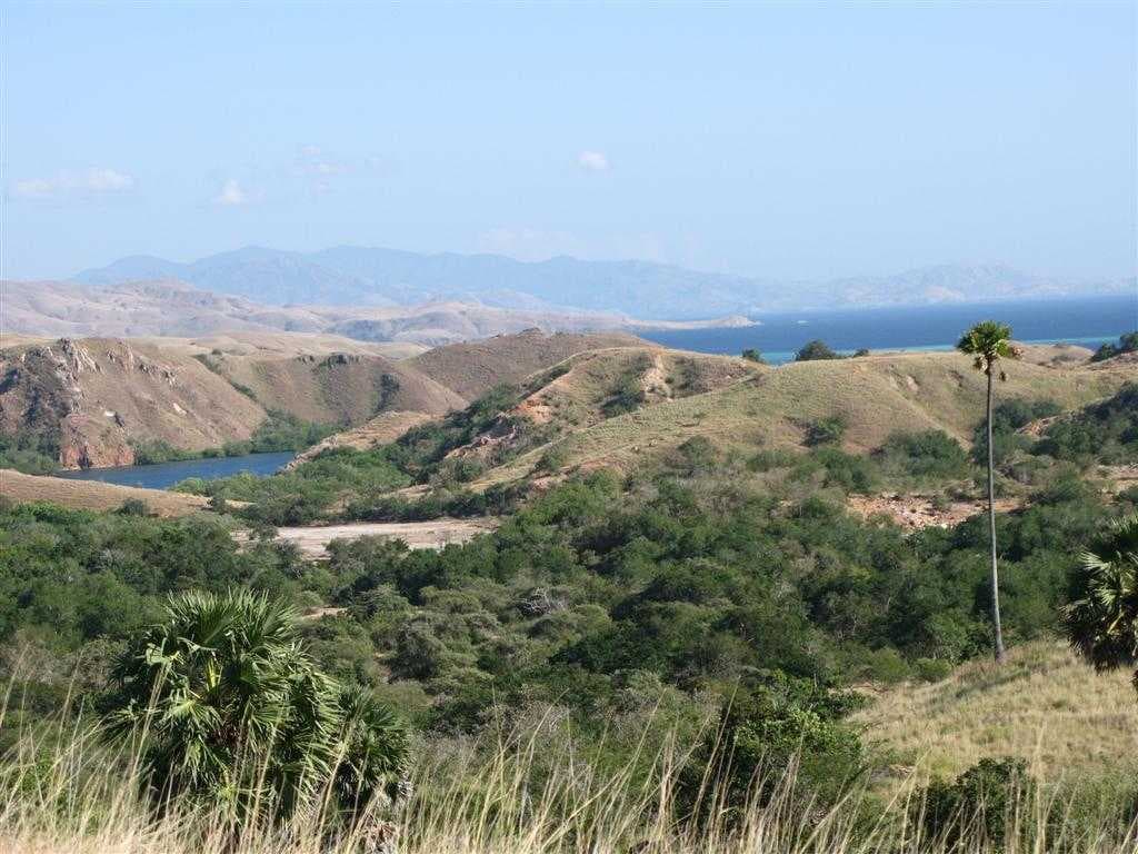Rinca Island is Spread Over 198 sq kms