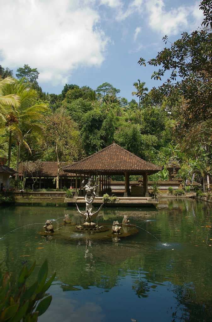 Tegallalang Rice Fields travel image