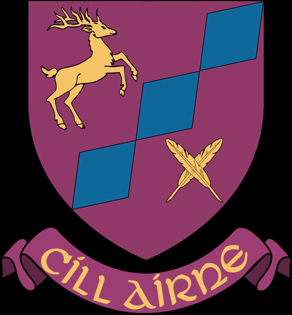 Killarney travel image