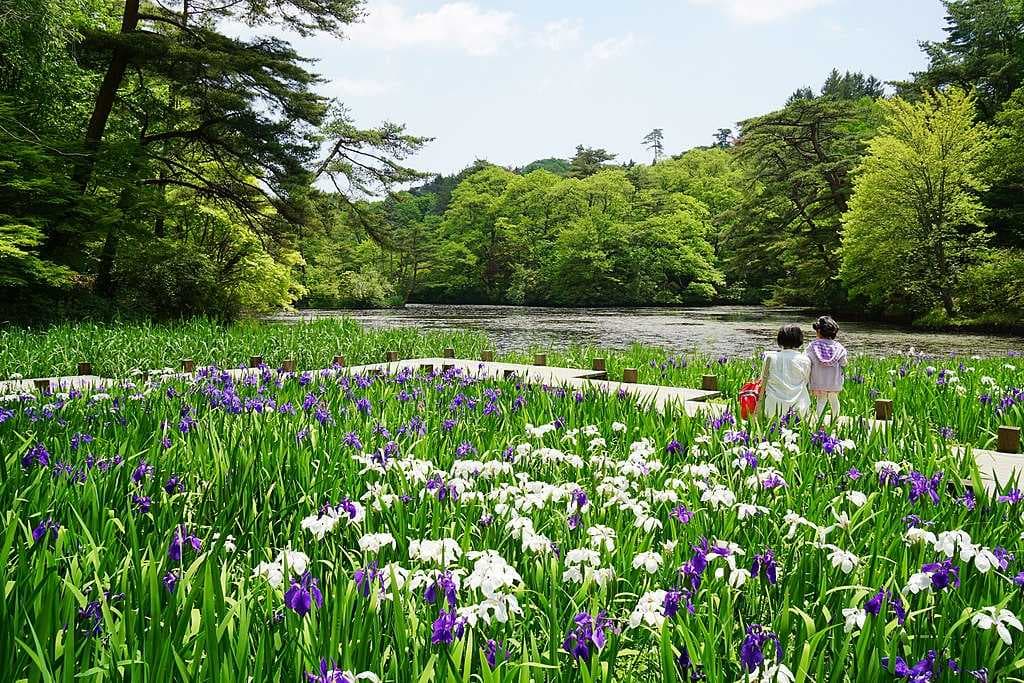 Kobe travel image