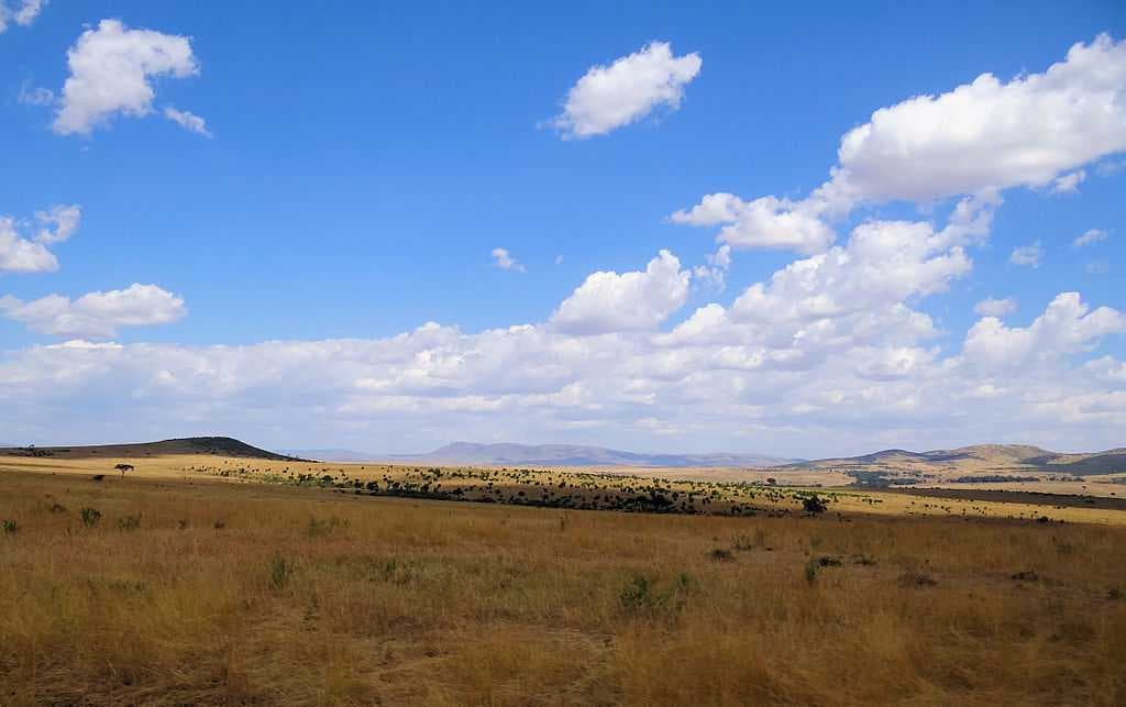 Masai Mara travel image