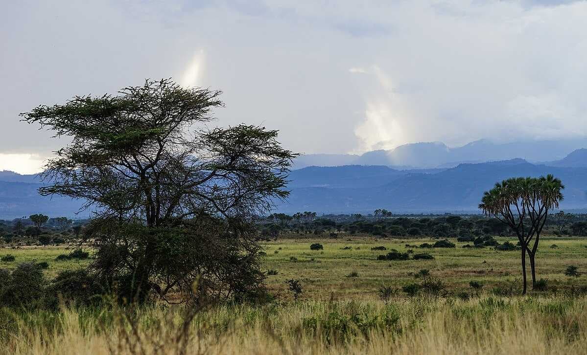Meru National Park