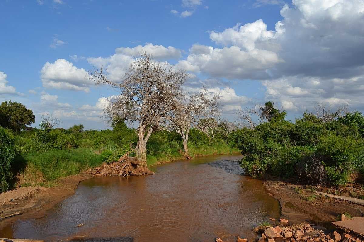 Tsavo East National Park