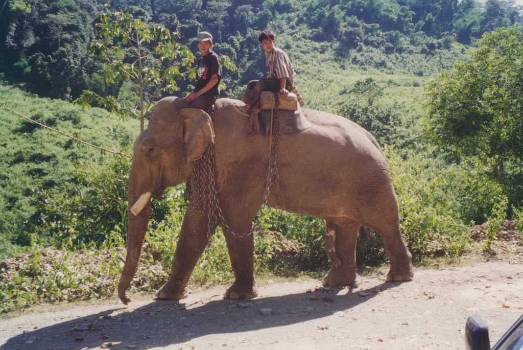 Two men riding an elephant.