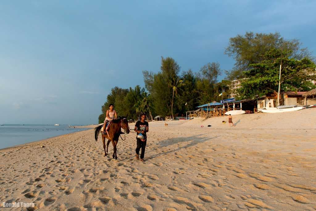 The beautiful suburbs of Batu Ferringhi