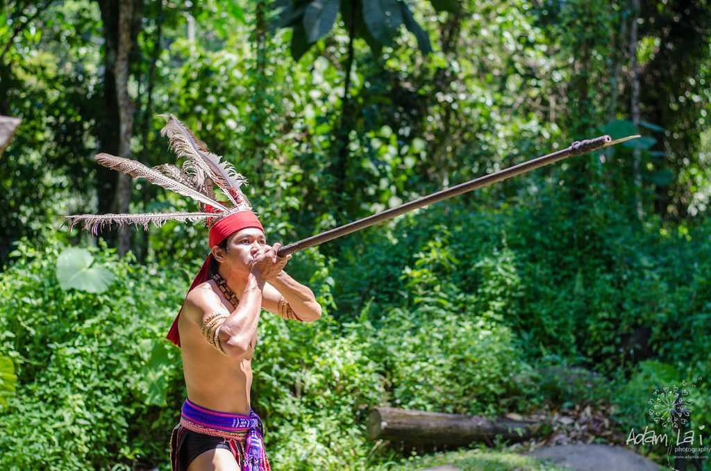 The Murut tribes who were once known for their headhunting practices