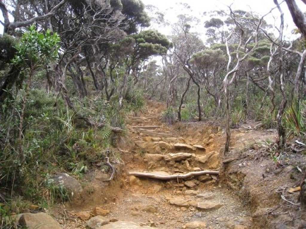 Mount Kinabalu travel image