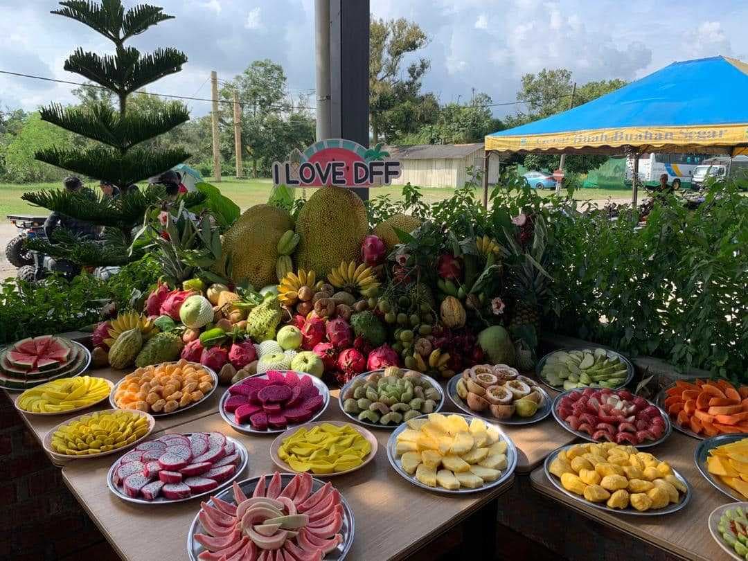 Desaru Fruit Farm