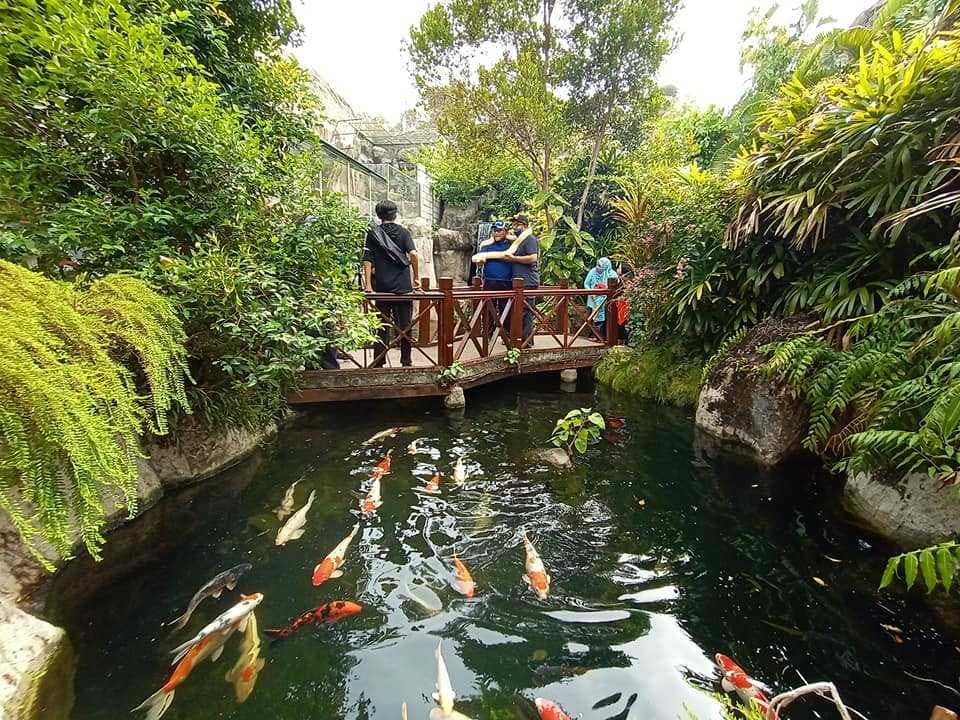 Underwater World Langkawi travel image