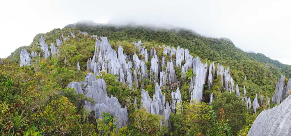 Limestone Pinnacles at Gunung Mulu National Park, Sarawak