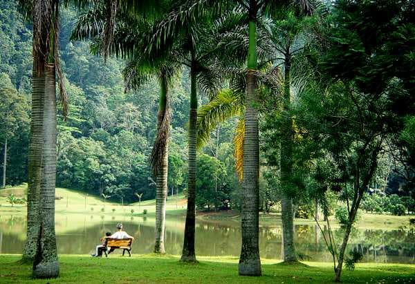 Picturesque View of Kepong Botanical Garden, Malaysia