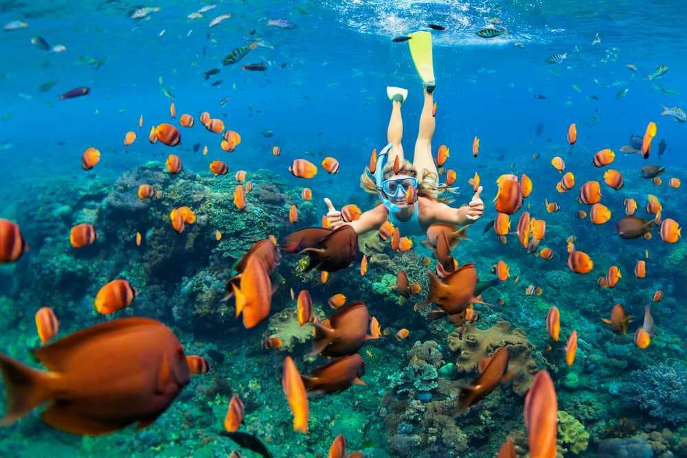Maldives