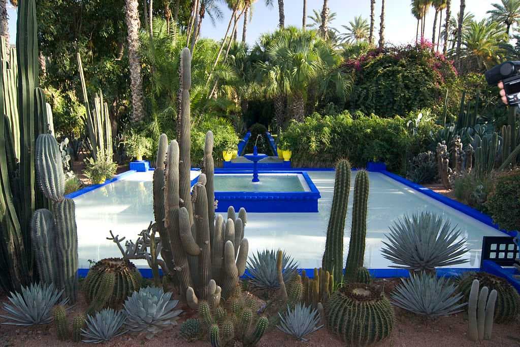 Majorelle Gardens travel image
