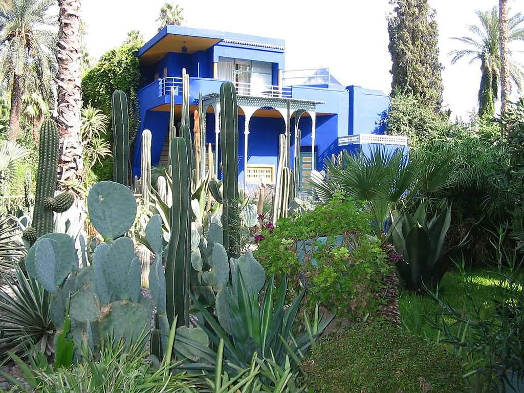 Majorelle Garden's cactus collection, with Villa in the background