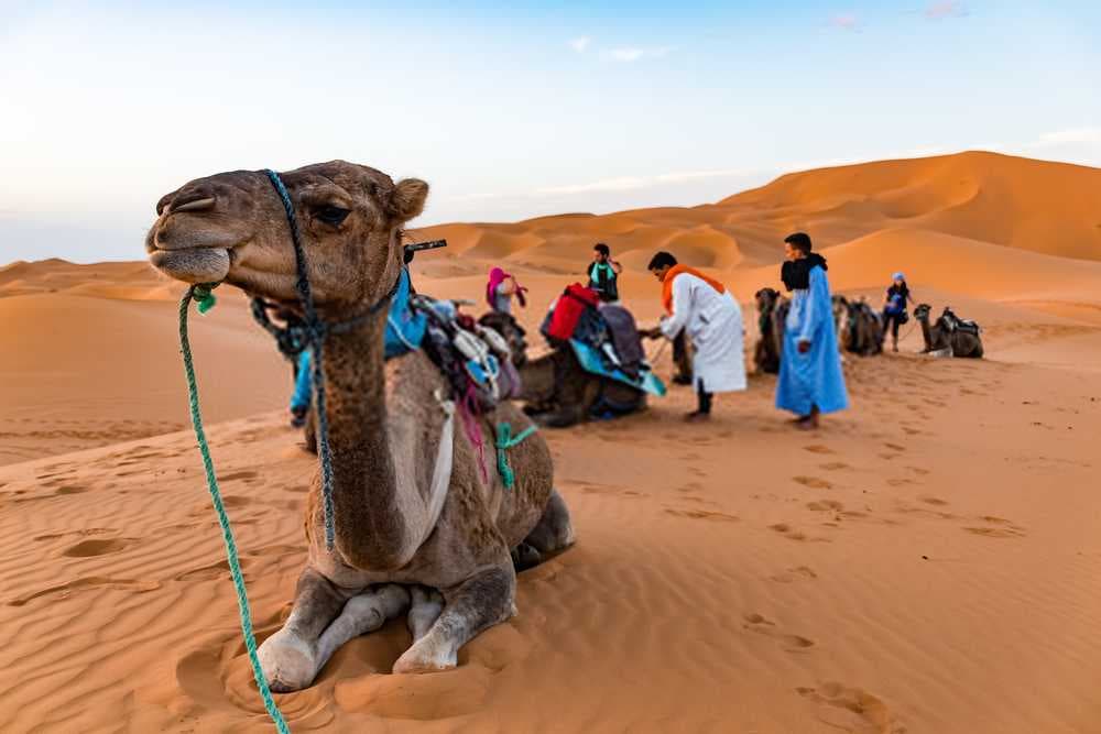 Sahara Desert Tour, Marrakech, Morocco