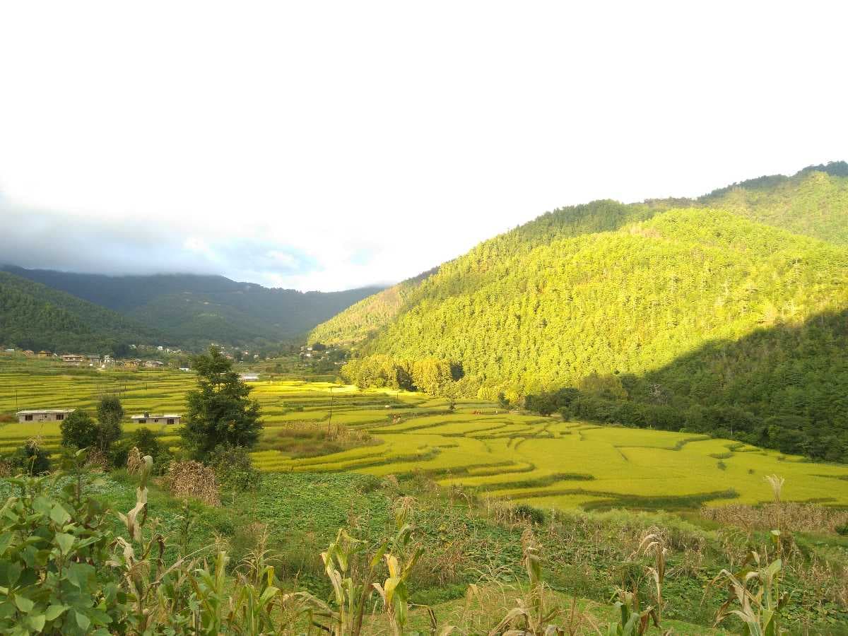 Chitlang - Ancient Newar Town Covered with Greenery