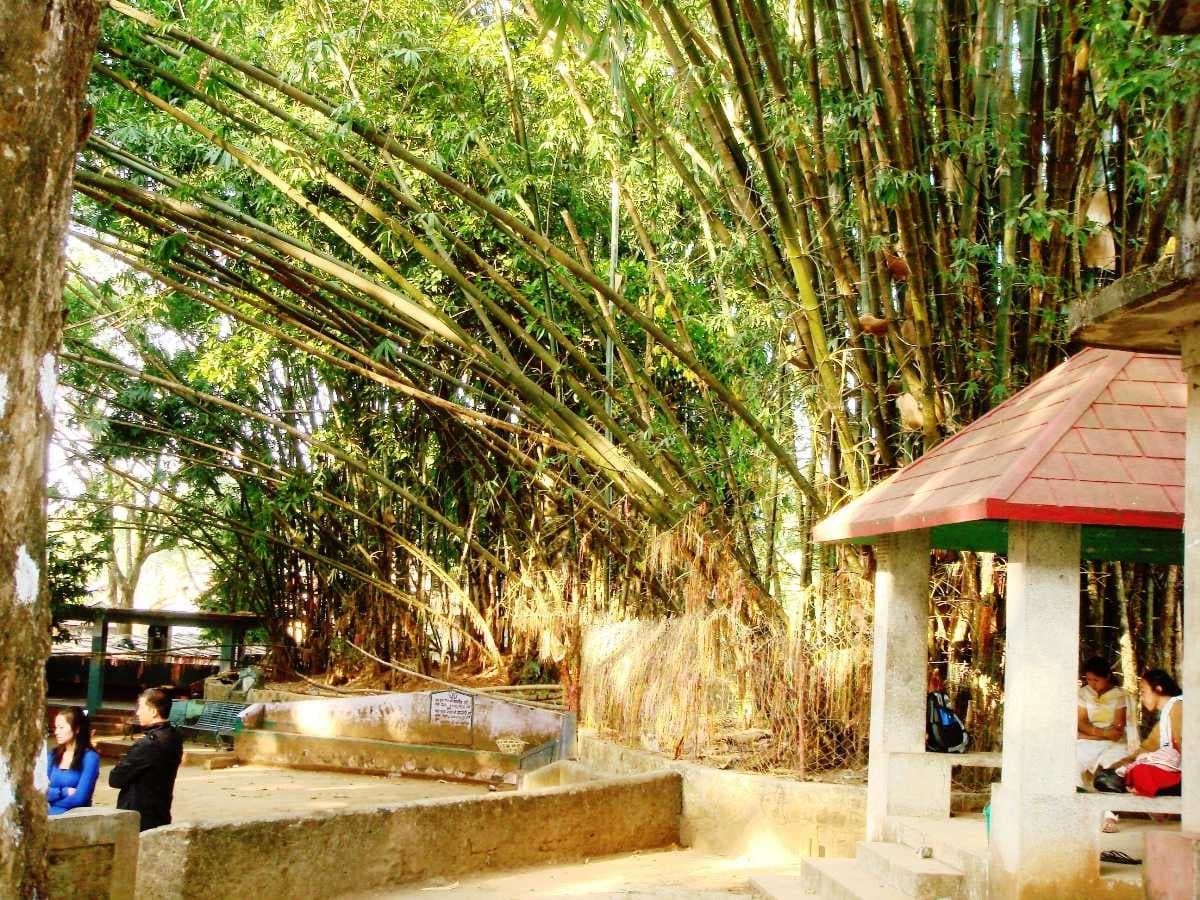 Buddha Subba Temple Premises