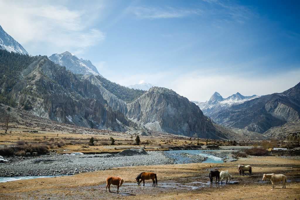 Enchanting Landscape of Mustang Valley