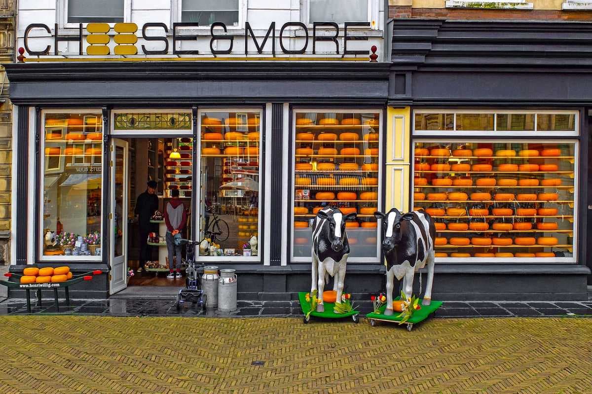 Delft travel image